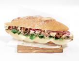 Veggie Panini